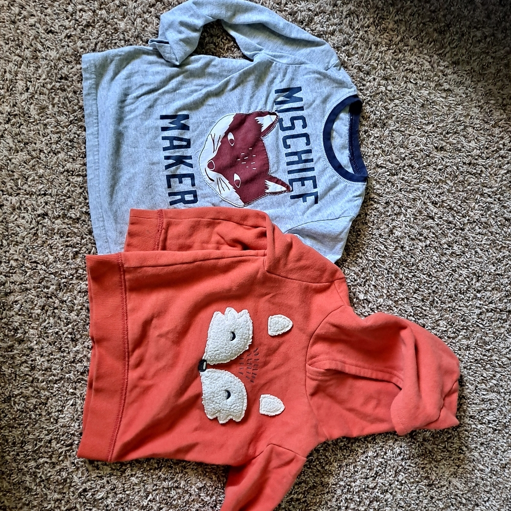 Fox hoodie/long sleeve shirt bundle
